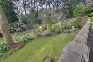 Garden (View from Patio)- click for photo gallery